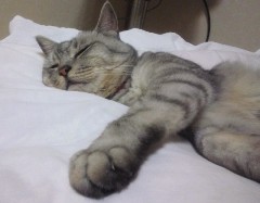 maimai130715.JPG