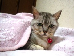 maimai131027.JPG