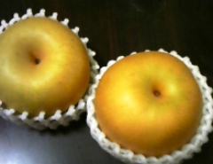 nashi0808.jpg