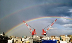 niji1408183.jpg