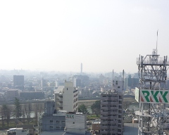 pm130308.jpg