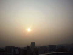 pm131206.JPG
