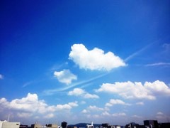 sor1209042.JPG