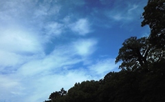 sora0622.jpg