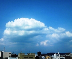 sora08101.jpg