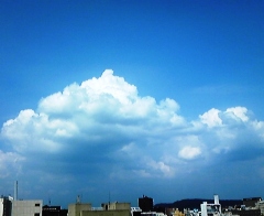 sora08102.jpg