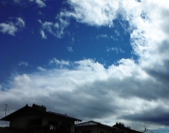 sora1207182.jpg