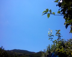 sora130717.JPG