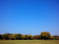sora1311072.JPG