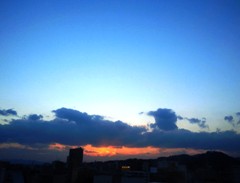 sora1312272.JPG
