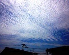 sora3130531.JPG