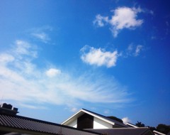 sora5121109.JPG