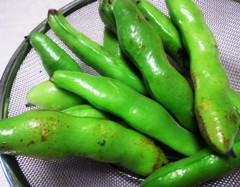 soramame130515.JPG