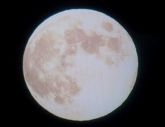 tuki130919.JPG