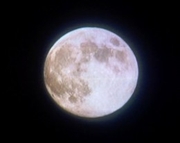 tuki140908.JPG