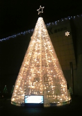 xmas1205.jpg
