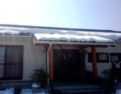 yuki140224.JPG