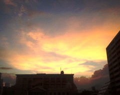 yuuhi1209122.JPG