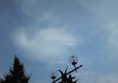 kumo31007.jpg