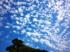 sora120928.JPG