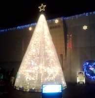 tree121203.JPG