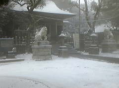 yuki0125.jpg