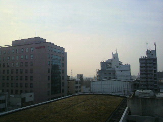 2011020808030000.jpg