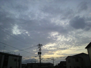 2011081905500001.jpg