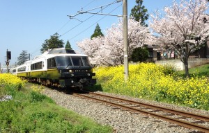 sakura150402