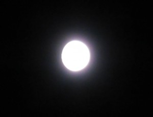 十三夜1025