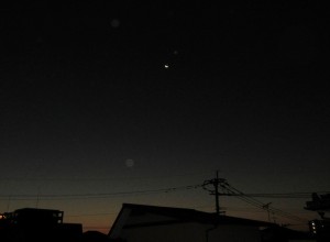 金星1208