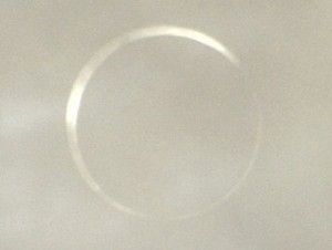 kinkan1