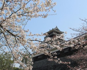 sakura03284