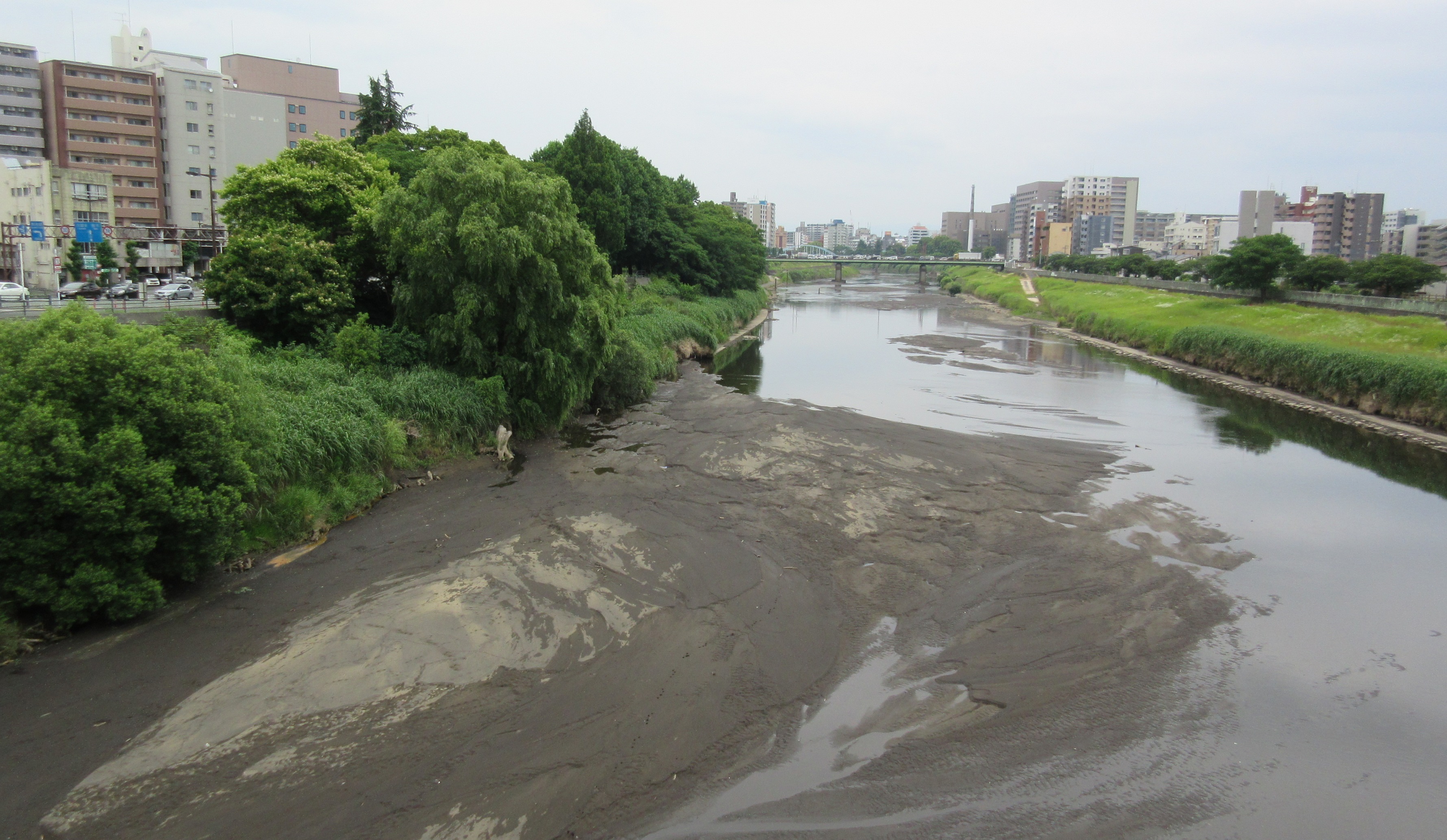 少雨の県内…あすは雨風強まる！ | 空色日記