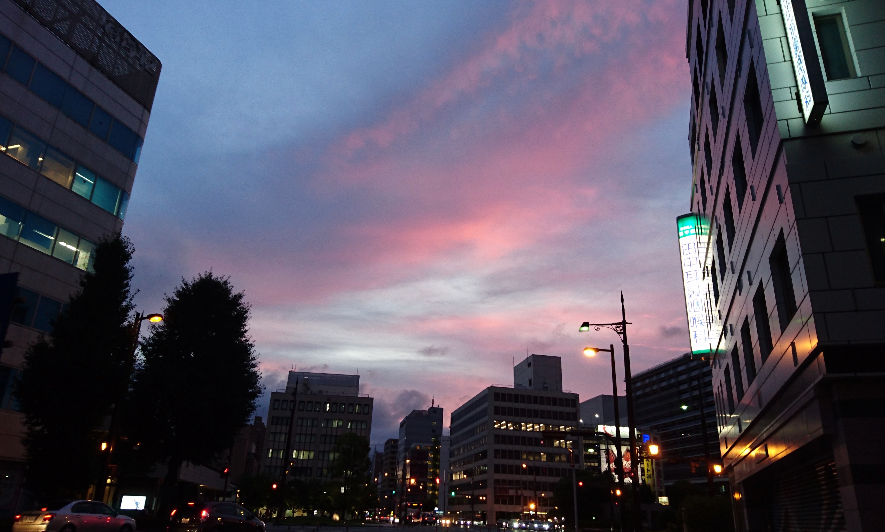 夕焼けも虹も 夏の季語です 空色日記